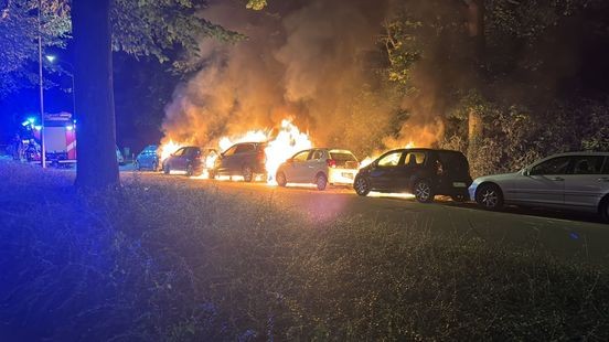 Rij met auto's in Maastricht in brand gestoken