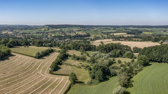 Vakantieparkisering van Limburg: wat speelt er allemaal?