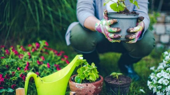 Stralend lenteweer, de tuin loopt uit: wat kun je al doen?