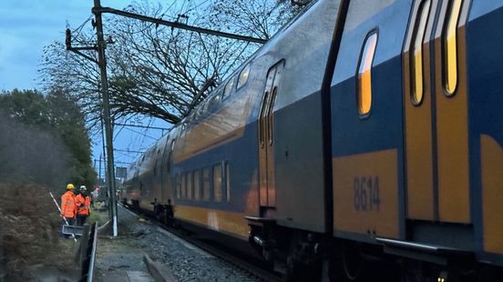 Trein botst tegen boom op spoor: geen treinverkeer