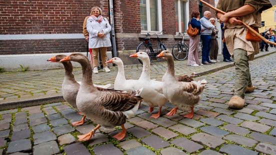 Raadsleden Maastricht willen geen dieren in Reuzenstoet