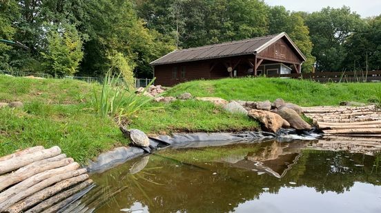 Provincie geeft vergunning voor vangen schildpadden in Limburg