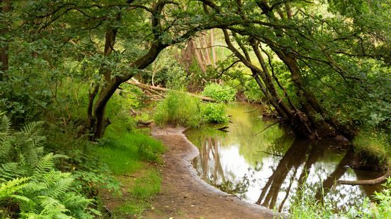 Ecologische Autoriteit: ook natuur Leudal in gevaar