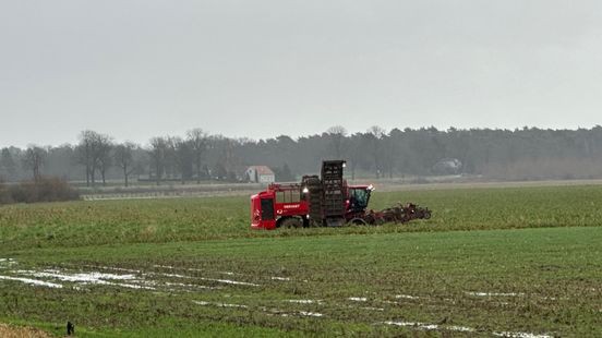 Boer zakt met bietenrooier diep in de modder