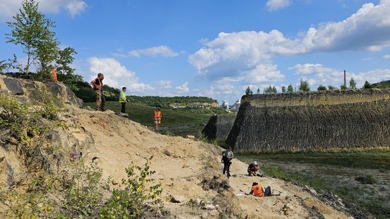 Geologen en paleontologen doen onderzoek in de ENCI-groeve