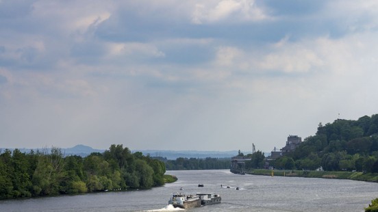 Rijkswaterstaat: beheer Maasoever moet natuurvriendelijk