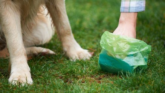 Heerlense hondenbezitters inkomstenbron voor gemeente