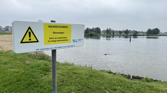 Weer blauwalg gevonden, dit keer in Brunssum