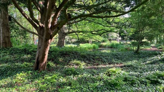 Het Tiglien: Botanische tuin Steyl gaat terug in de tijd