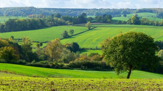 Provincie investeert bijna 1 miljoen euro in landschap