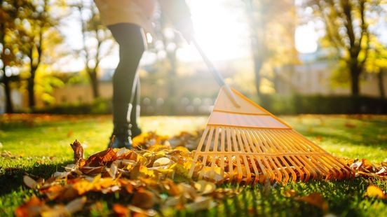 De herfst is begonnen, maar moet je de tuin wel winterklaar maken?