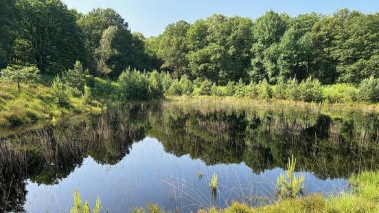 Limburg staakt beroep tegen bedrijventerrein in Duits grensgebied