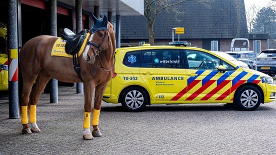 Deze 1 aprilgrappen kwamen wij tegen: trapte jij erin?