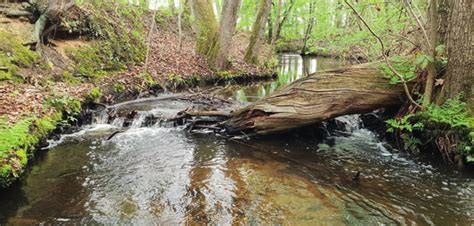 PROGRAMMA’s OR6 | 19 april 2026