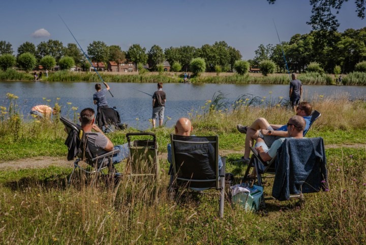 Zorgen over teruggang zoetwatervissen in Limburg: ‘Verontreiniging water speelt mee’