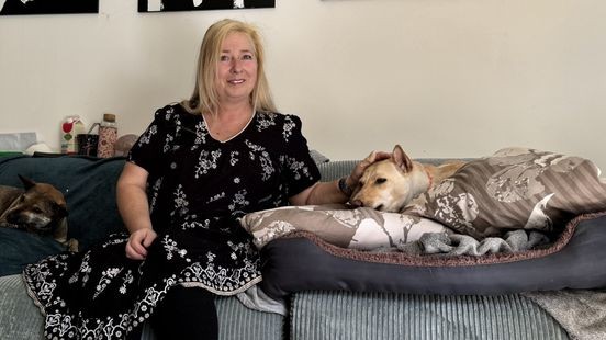 Heerlense Patricia wil Indiase honden helpen