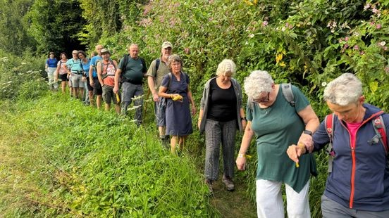 Vrijwilligers maken vrij baan voor 7000 deelnemers Heuvelland4daagse
