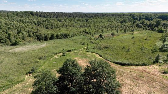 Kinderen planten nieuw bos in Nationaal Park De Meinweg