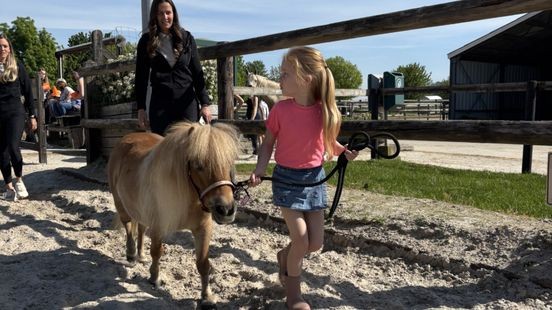 Horse & Happiness: jeugdzorg met paarden