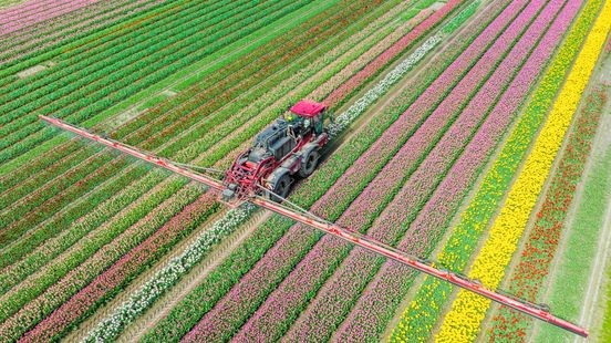 Toenemende zorgen over bestrijdingsmiddelen in de landbouw en lelieteelt