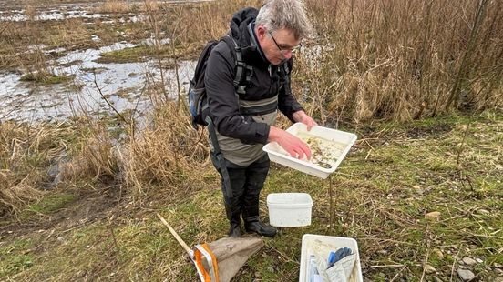 Nieuwe hotspot voor Maastricht: een natuurgebied vol biodiversiteit