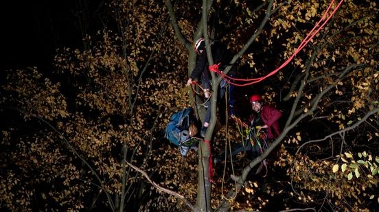 Zeven actievoerders nog in twee bomen bij A2