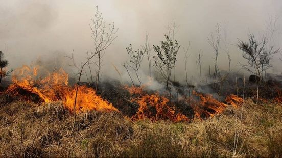 Natuurgebieden krijgen camera's tegen bosbranden