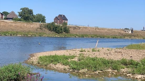 Lage waterstand Maas vooral lastig voor de vissen