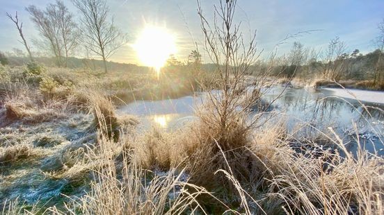 Van vrieskou naar 17 graden binnen 48 uur: hoe kan dat?