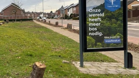 'Wereld heeft meer bos nodig' in straat vol gekapte bomen