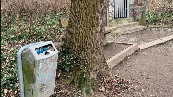 Jonge overleden kat in prullenbak Maastricht gedumpt