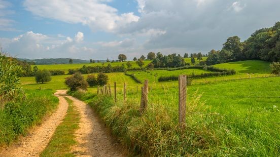 Limburgse boeren regelmatig benaderd voor criminele activiteiten