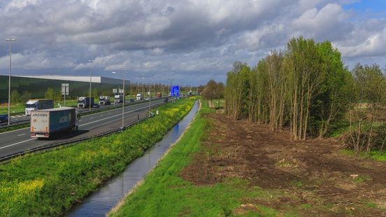 Verbreding A2 loopt twee jaar vertraging op, zeldzame vleermuis is de grote spelbreker