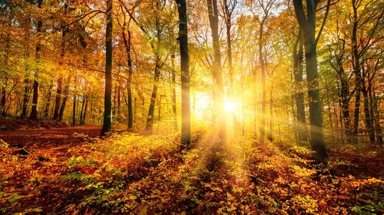 Eerste week november wordt lenteachtig: temperatuur richting 19 graden