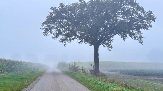 Temperatuur dook even onder nulpunt: eerste officiële vorstdag van dit najaar