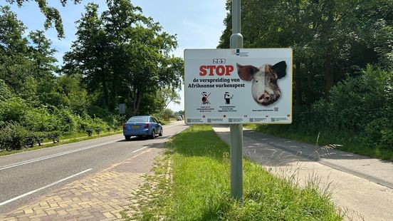 Provincie alert op Afrikaanse varkenspest: nieuw actieplan geldt tot 2028