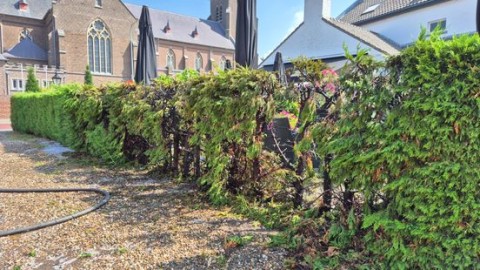 Heg vat vlam door onkruidbrander bij eetcafé in Maastricht