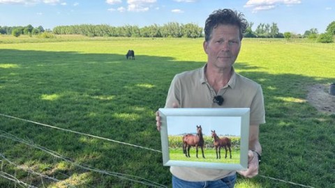 Kans op terugkeer gestolen paarden klein: 'Zo'n diefstal nog nooit gehoord'
