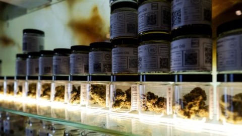 Illegale hasj tot september toegestaan in wietproef