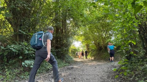 Meerdere wandelaars Heuvelland4daagse gestoken door hoornaars: twee naar ziekenhuis