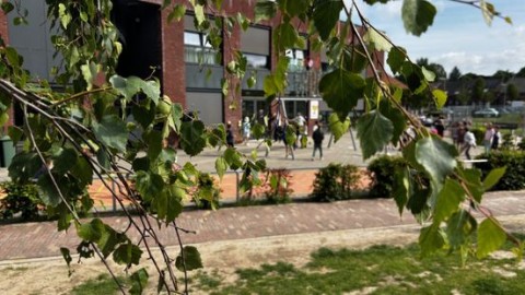 128 nieuwe bomen: aan schaduwplekjes geen gebrek bij basisschool in Panningen
