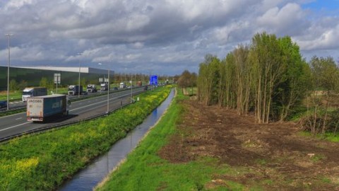 Verbreding A2 loopt twee jaar vertraging op, zeldzame vleermuis is de grote spelbreker