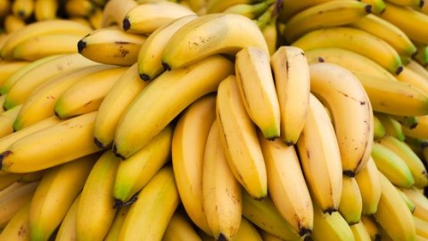 OM wil celstraffen voor plannen van cocaïnetransport