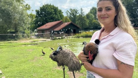 Dierenpark Nuth bloeit op door Melanie én knuffelhaan Harry
